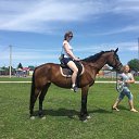 ���� ����, ����, 42 ���� - ��������� 3 ���� 2024 � ������ ���� ����������