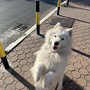 ���� ������, �����-��������� - ��������� 12 ������ 2025 � ������ ������ ��������