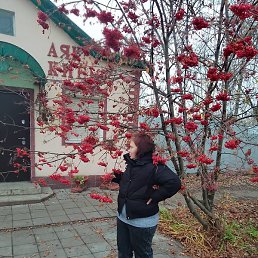 �����, ������, 39 ���