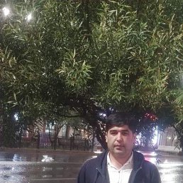 , 36, 