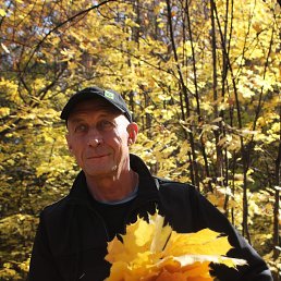 , 56 , 