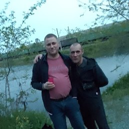 ������, 41 ���, �����������