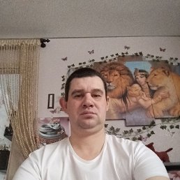 �������, 37 ���, ����