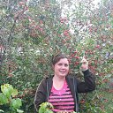 ���� ���, �������, 40 ��� - ��������� 20 ��� 2025 � ������ ���� ����������