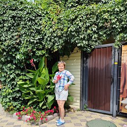 , 57, 