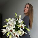 ���� ���������, ������, 33 ���� - ��������� 28 ��� 2025 � ������ ���� ����������