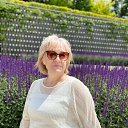 ���� ������, ������-��-����, 57 ��� - ��������� 25 ������ 2026 � ������ ���� ����������