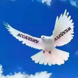 ������, ������, 45 ���