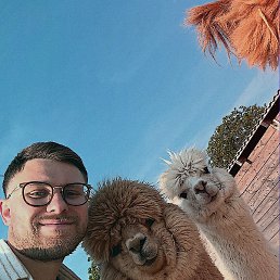 ������, ��������, 34 ����