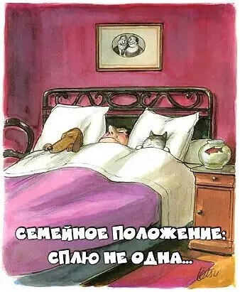 ��� ���� - 15 ������� 2025 � 01:10