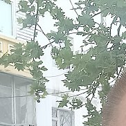 �������, 64 ����, �������