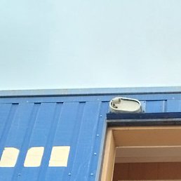 ��������, �����������, 38 ���