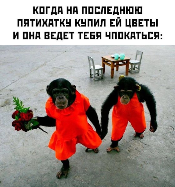   - 6  2024  14:44