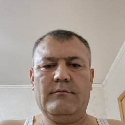 , 51, -