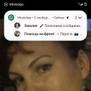 ���� ������, �����������, 43 ���� - ��������� 13 ���� 2025 � ������ ���� ����������