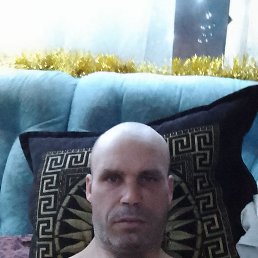 ���� ���������, �����������, 41 ��� - ��������� 22 ������ 2024