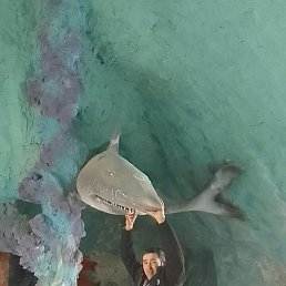 Seryozniy Yigit, �����, 30 ���