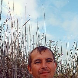 , 39, 