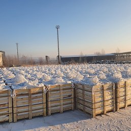 ���� ������, ���, 41 ��� - ��������� 18 ������ 2024