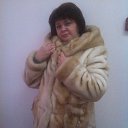 ���� �����, ������-��-����, 67 ��� - ��������� 14 ������ 2026 � ������ ���� ����������