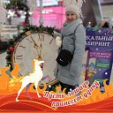 ���� ����, �����, 41 ��� - ��������� 13 ������� 2026