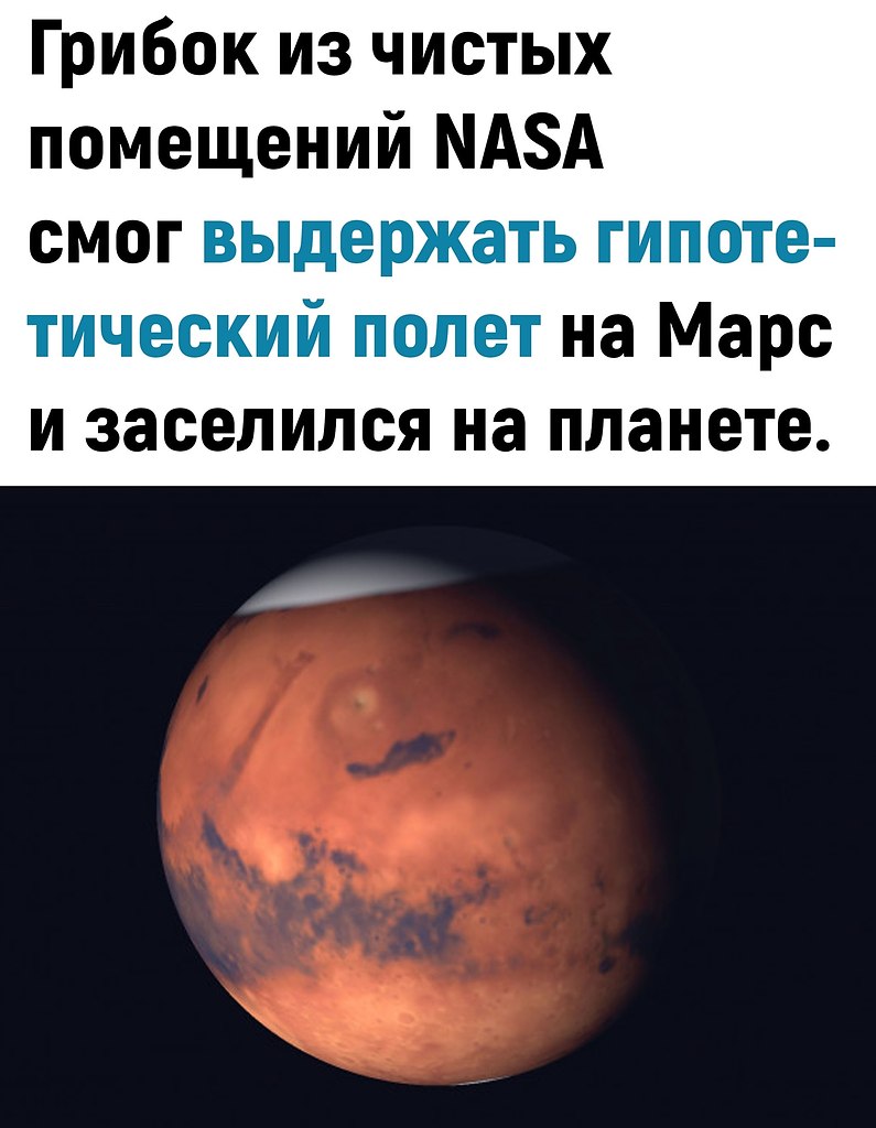 �����e o��ap����� � ��c��� �o�e�e���� NS �p��o�, c�oco���� �epe���a�� �c�o���, ������e � ... - 3