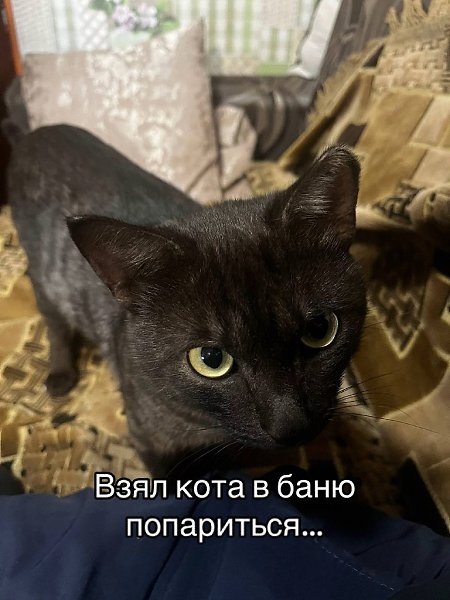 JPG - 26 ������� 2025 � 21:15