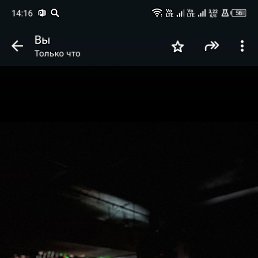 ���������, 53 ����, ������