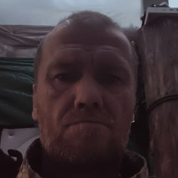 ����� ����-�����-���������, ��������, 50 ���