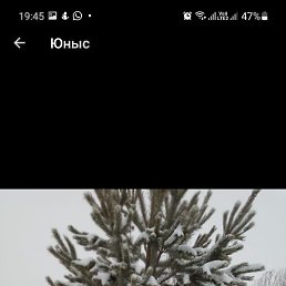 ����, ���������� �����, 41 ���