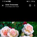 ���� ������, ����, 45 ��� - ��������� 16 ������ 2024 � ������ ���� ����������