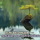 ���� ��������, �������, 58 ��� - ��������� 21 ��� 2026 � ������ ���� ����������