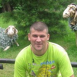 �����, ������, 49 ���