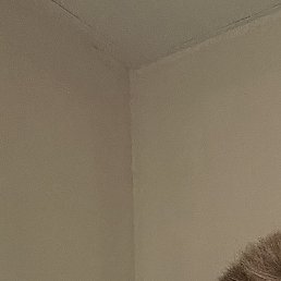 ����, �����, 28 ���