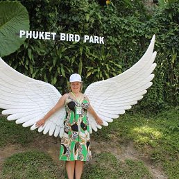 ���������, 41 ���, ���������