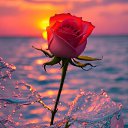 ���� �����, ������ - ��������� 8 ��� 2024 � ������ ������ ��������