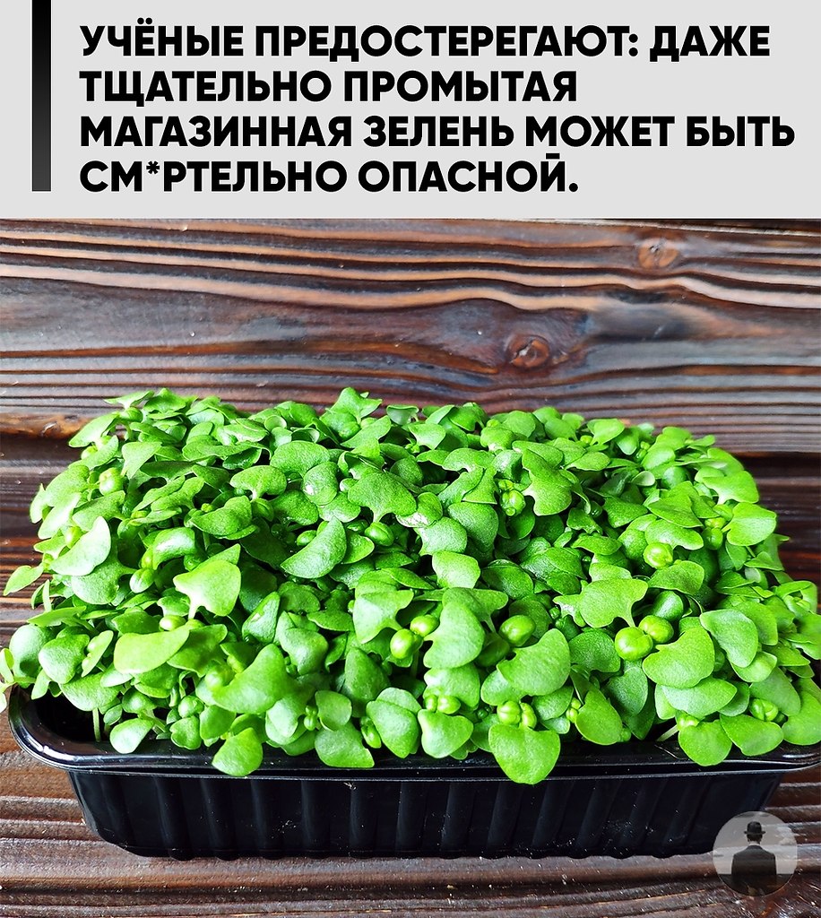 ������ �� ��� ����� � �������� ������� �������� � �������, �����: ��, �����! ��� ������, ����� ����� ...