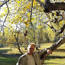 �������, ��������, 54 ����