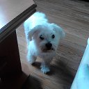  Louda05, , 27  -  9  2025    