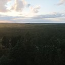 ���� ���������, ����, 41 ��� - ��������� 8 ������� 2025 � ������ ���� ����������