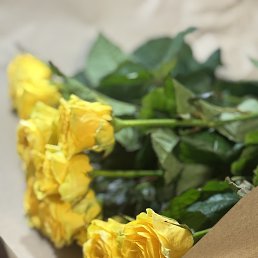 ���� ������, ������, 45 ��� - ��������� 3 ����� 2026