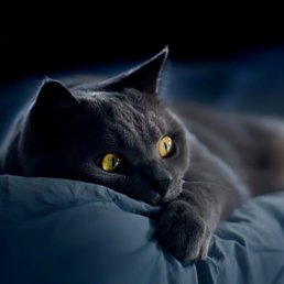 ����, �����, 25 ���