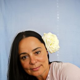 , 48, 