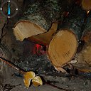 ..����� �� �����. �� ������� ���� ����������