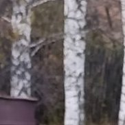 , 50 , 