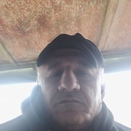 , 56, 