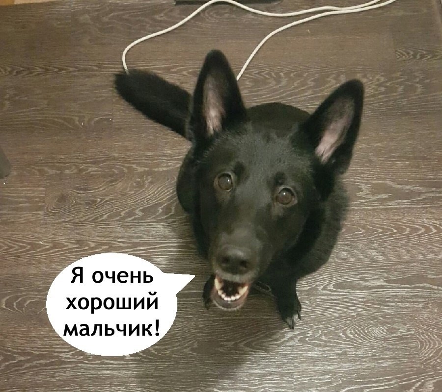    - 3