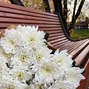   ),  , 60  -  1  2024