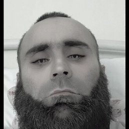 �������, ������, 37 ���