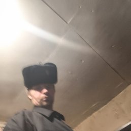 ������, �������, 38 ���